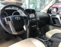 Toyota Prado 2009 - Cần bán xe Toyota Prado sản xuất năm 2009, màu vàng, nhập khẩu