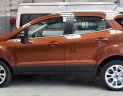 Ford EcoSport 1.0 Ecoboost Titanium+ 2018 - Bán ô tô Ford EcoSport 1.0 Ecoboost Titanium+ 2018, màu nâu, giá 689tr