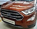 Ford EcoSport 1.0 Ecoboost Titanium+ 2018 - Bán ô tô Ford EcoSport 1.0 Ecoboost Titanium+ 2018, màu nâu, giá 689tr