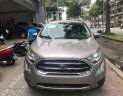 Ford EcoSport Titanium 1.5L AT 2018 - Cần bán Ford EcoSport Titanium 1.5L AT sản xuất năm 2018, màu bạc