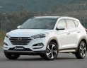 Hyundai Tucson 1.6 T-GDI 2017 - Cần bán Hyundai Tucson 1.6L T-GDI máy xăng đặc biệt - đăng ký 12/2017