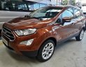 Ford EcoSport 1.0 Ecoboost Titanium+ 2018 - Bán ô tô Ford EcoSport 1.0 Ecoboost Titanium+ 2018, màu nâu, giá 689tr