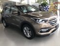 Hyundai Santa Fe 2.4  2018 - Bán Hyundai Santa Fe 2.4 full xăng, năm sản xuất 2018, màu nâu