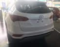 Hyundai Santa Fe Mới 2018 - Xe Mới Hyundai Santa FE 2018