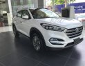 Hyundai Tucson Cũ   AT 2018 - Xe Cũ Hyundai Tucson AT 2018