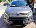 Ford EcoSport   Titanium  2016 - Bán Ford EcoSport Titanium sản xuất năm 2016, màu xám 