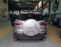 Ford EcoSport Ambiente 1.5L MT 2018 - Bán Ford EcoSport Ambiente 1.5L MT đời 2018, màu nâu