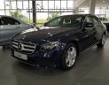 Mercedes-Benz E class E250 2018 - Bán xe Mercedes E250 đời 2018, màu xanh lam