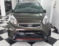 Kia Morning   1.25 AT  2016 - Bán Kia Morning 1.25 AT 2016, màu nâu số tự động