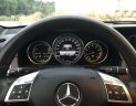 Mercedes-Benz E class 2013 - Bán Mercedes sản xuất 2013, màu xám