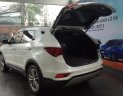Hyundai Santa Fe 2018 - Bán Hyundai Santafe giá chỉ từ 919 triệu, hỗ trợ trả góp