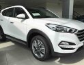 Hyundai Tucson 2.0L  2018 - Chỉ 245Tr - Hyundai Vũng Tàu - Hyundai Tucson 2.0l xăng đặc biệt 2018, giá cực tốt, trả góp 85% - 0933598285