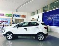 Ford EcoSport 2018 - Bán ô tô Ford EcoSport sản xuất 2018, màu trắng 