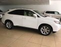 Lexus RX Cũ   350 2009 - Xe Cũ Lexus RX 350 2009