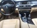 BMW 5 Series 520i 2015 - Bán ô tô BMW 5 Series 520i năm 2015, màu đen, xe nhập