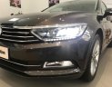 Volkswagen Passat 1.8 Bluemotion 2018 - Bán xe Volkswagen Passat 1.8 Bluemotion sản xuất 2018, màu xám, nhập khẩu