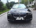 BMW 5 Series 520i 2015 - Bán ô tô BMW 5 Series 520i năm 2015, màu đen, xe nhập
