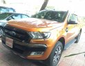 Ford Ranger Wildtrak 3.2L 4x4 AT 2017 - Bán xe Ford Ranger Wildtrak 3.2L 4x4 AT đời 2017, xe nhập chính chủ, giá 875tr