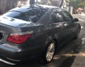 BMW 5 Series 530i 2008 - Bán BMW 5 Series 530i 2008, màu xám, xe nhập xe gia đình