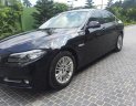 BMW 5 Series 520i 2015 - Bán ô tô BMW 5 Series 520i năm 2015, màu đen, xe nhập