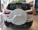 Ford EcoSport 2018 - Ford Ecosport 2018, khuyến mãi khủng 