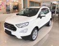 Ford EcoSport 2018 - Ford Ecosport 2018, khuyến mãi khủng 