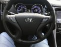 Hyundai Sonata 2.0 AT  2010 - Bán xe Hyundai Sonata 2.0 At full đời 2011, màu xám (ghi), nhập khẩu