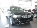 BMW X4 Mới   Xdrive20i 2017 - Xe Mới BMW X4 Xdrive20i 2017