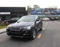 BMW X4 xDriver20i 2017 - Cần bán BMW X4 xDriver20i đời 2017, màu đen, xe nhập, giá tốt