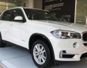 BMW X5 2017 - Bán ô tô BMW X5 xDrive35i nhập khẩu Đức, đời 2017 - 01653802800