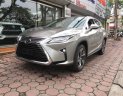 Lexus RX 350L 2018 - Cần bán xe Lexus RX350L, sản xuất năm 2019, màu xám (ghi), nhập khẩu Mỹ