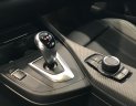 BMW M2 2017 - Cần bán BMW M2 sản xuất 2017 màu đen, 2 tỷ 999 triệu - nhập khẩu chính hãng - 0901214555