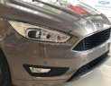 Ford Focus Titanium   2018 - Bán Ford Focus Titanium 2018, màu nâu, 730 triệu