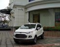 Ford EcoSport Titanium 1.5L AT 2017 - Cần bán lại xe Ford EcoSport Titanium 1.5L AT sản xuất năm 2017, màu trắng 