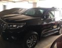 Toyota Land Cruiser   Prado VX  2018 - Cần bán xe Toyota Land Cruiser Prado VX đời 2018, màu đen, xe nhập