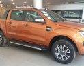 Ford Ranger 2018 - Hà Nội Ford - Ford Ranger 3.2L AT 4x4 Wildtrak 2018, đủ màu, nhập khẩu, giao xe ngay: 0934 696 466