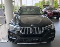 BMW X4  xDrive20i 2017 - Bán xe BMW X4 xDrive20i mới 100%, xe nhập khẩu chính hãng từ Đức, có xe giao ngay