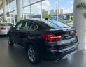 BMW X4  xDrive20i 2017 - Bán xe BMW X4 xDrive20i mới 100%, xe nhập khẩu chính hãng từ Đức, có xe giao ngay