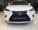 Lexus NX 2018 - Bán Lexus NX 300 đời 2018, màu trắng, nhập khẩu nguyên chiếc chính hãng