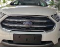 Ford EcoSport Titanium 2018 - Bán xe Ford EcoSport Titanium 2018, màu trắng, giá 648tr