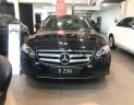 Mercedes-Benz E class E250 2018 - Bán Mercedes E250 2018, màu đen