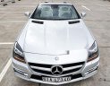 Mercedes-Benz SLK class  SLK350  2012 - Cần bán Mercedes SLK350 năm sản xuất 2012, màu bạc, nhập khẩu nguyên chiếc như mới