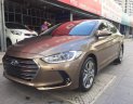 Hyundai Elantra 2.0 AT 2016 - Bán Hyundai Elantra GLS 2.0AT năm sản xuất 2016, màu nâu