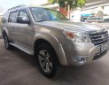 Ford Everest 2.5L 4x2 AT 2009 - Bán Ford Everest 2.5L 4x2 AT sản xuất năm 2009 chính chủ, giá tốt