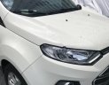 Ford EcoSport 2016 - Bán Ford EcoSport năm 2016, màu trắng