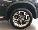 BMW X4  xDrive20i 2017 - Bán xe BMW X4 xDrive20i mới 100%, xe nhập khẩu chính hãng từ Đức, có xe giao ngay