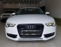 Audi A5 Cũ 2014 - Xe Cũ Audi A5 2014