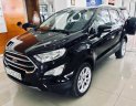 Ford EcoSport Titanium 2018 - Bán Ford EcoSport Titanium năm 2018, tiện dụng, an toàn, tiết kiệm