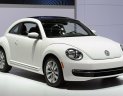 Volkswagen Beetle 2017 - Cần bán Volkswagen Beetle sản xuất 2017, màu trắng, xe nhập


