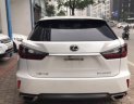 Lexus RX   AT  2016 - Bán Lexus RX AT đời 2016, xe nhập